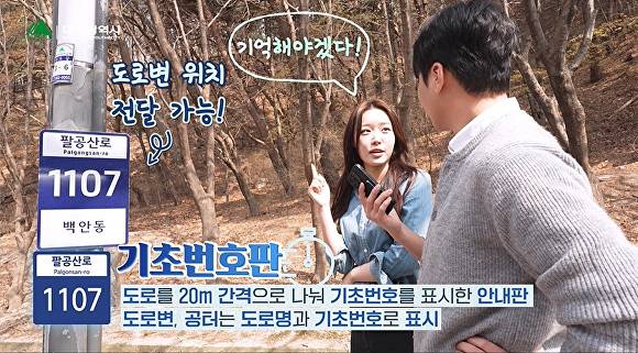 도로면 위치 기초번호판  [사진=대구시]