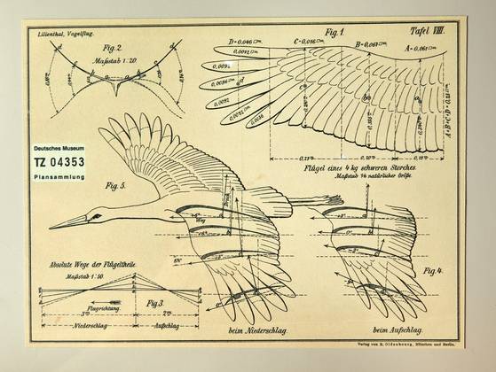 오토 릴리엔탈은 20여 년간 새의 비행을 연구한 결과를 도면과 그림으로 정리했다.