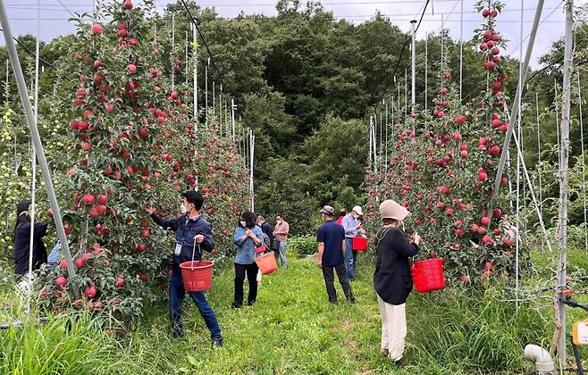 귀농·귀촌 체험. 쿠키뉴스DB=의성군 제공