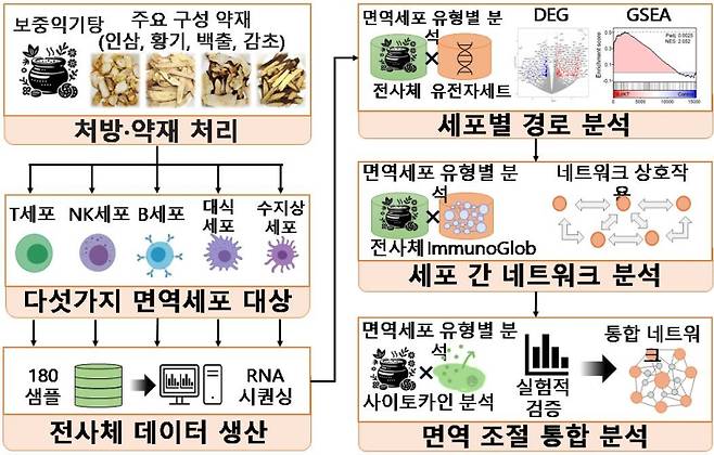 보중익기탕이 면역세포에 미치는 영향을 분석한 통합 연구 절차. 한국한의학연구원