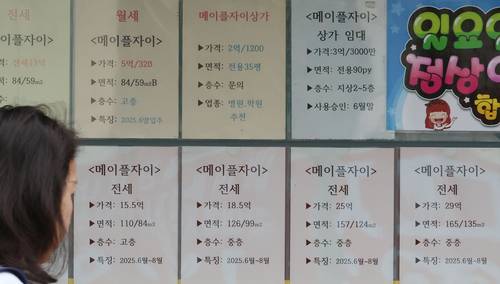 정부가 28일부터 6억원 이상 주택담보대출을 금지하는 초고강도 대출 규제를 시행하면서 서울 아파트의 74%가량이 대출액 감소가 불가피해졌다는 분석이 나와 혼란이 예상된다. 사진은 30일부터 분양이 시작된 서초메이플 자이 근처 부동산 앞. [이승환 기자]