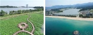 가시연습지(왼쪽), 경포해변(오른쪽)[환경부 제공]