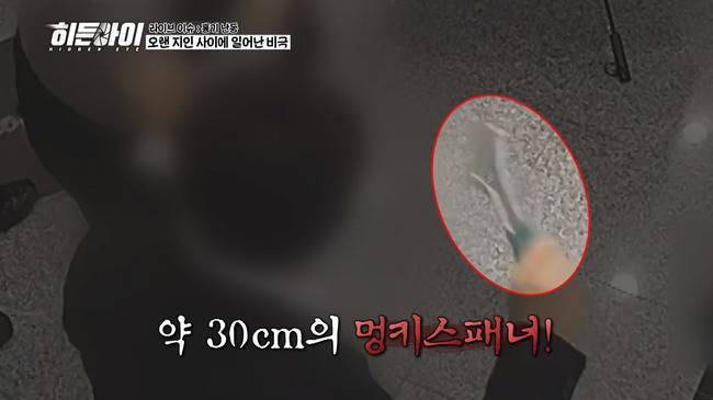 사진=MBC에브리원