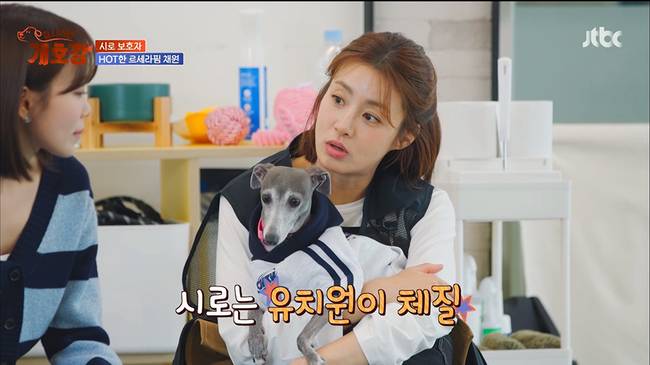 사진=JTBC ‘집 나가면 개호강’