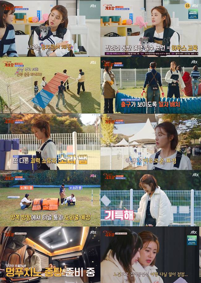 사진=JTBC ‘집 나가면 개호강’