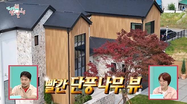 MBC ‘전지적 참견 시점’ 캡처