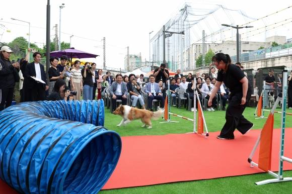 성동구 ‘용답 반려견 놀이터 개장식’에서 체험 활동을 진행하는 모습. 성동구 제공