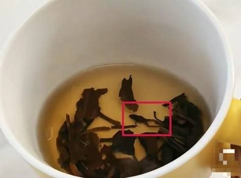 중국 유명 차 브랜드 제품에서 죽은 청개구리가 발견돼 논란이 일고 있다. 펑황망