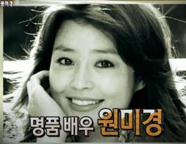 원미경