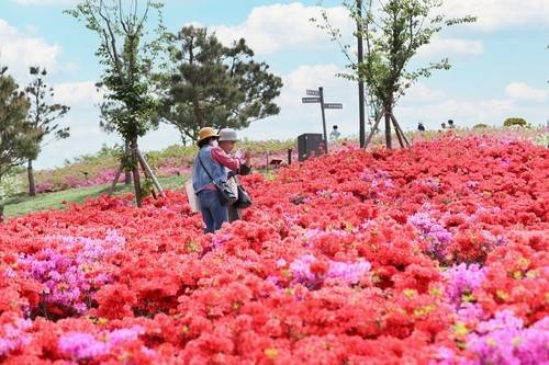 붕어섬 생태공원 [연합뉴스 자료사진]