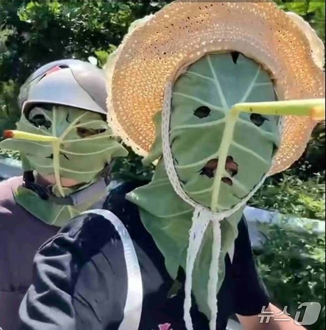 연잎 마스크를 클로즈업한 사진 - SCMP 갈무리