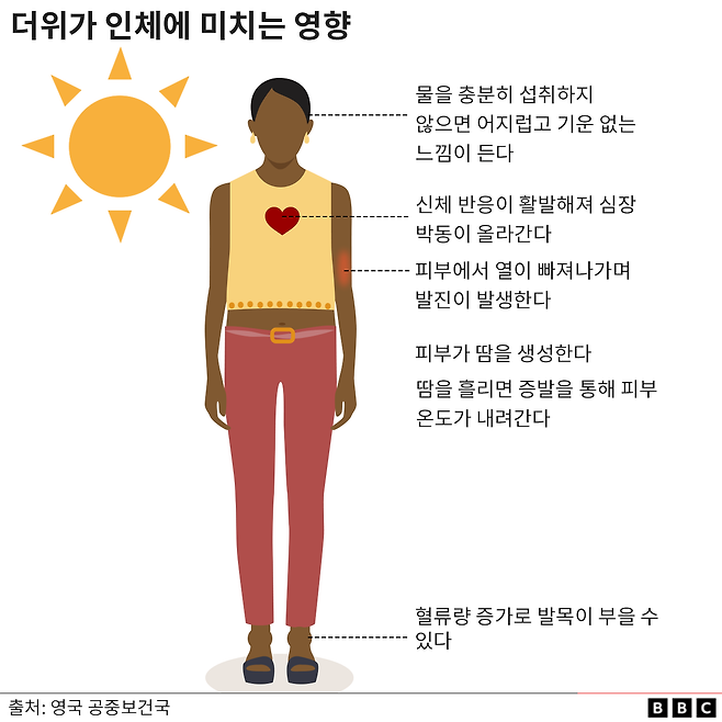 열이 인체에 미치는 영향을 나타낸 그림
