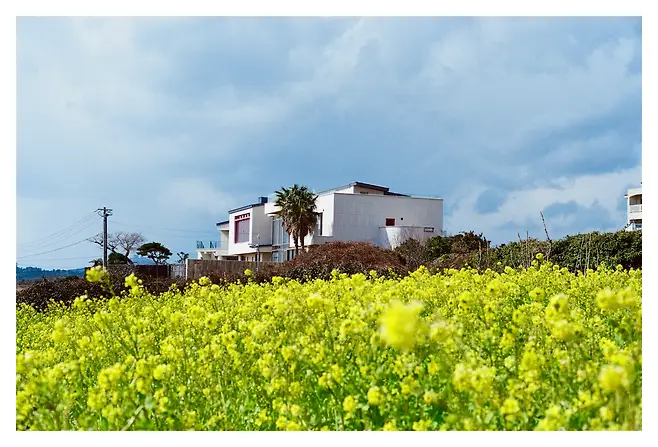 0c9ff575b68a6182239ef7ed349c701f4d09f047a79f83344bd4b3f9ade6dc1122afff55e94980abe03f90e937857b5808a0368d388a