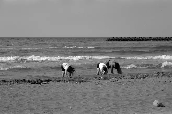 0bb2dd27b782689956abd9b9479a750291d29a27fdb3ab91182358f0b7c31ee79954