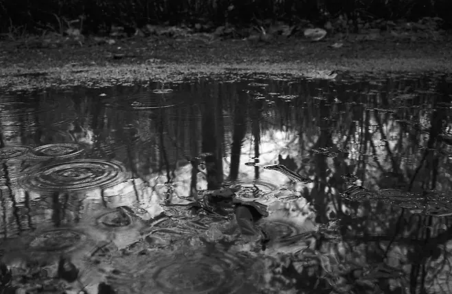 19f0fd27fded69f320a8d3b706f11a3985ff72b42f936ae840