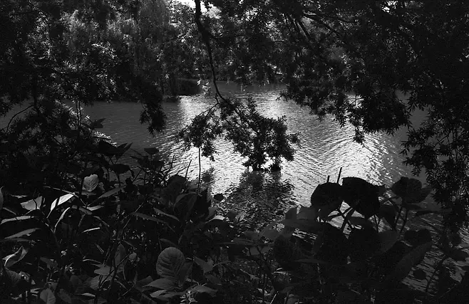 19b0d13edaea2ca962ee9de429827073196658fe3ba36617f115d988db4571d0