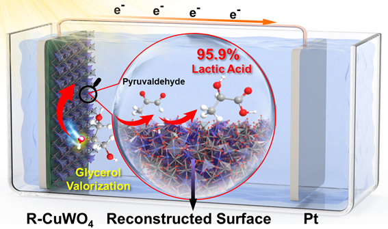 글리세롤의 광전기화학적 전환을 통한 유산 생성 과정 개념도. (김정규 교수 제공)