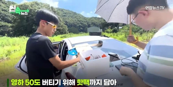 image.png 제대로 사고친 경상남도 고등학생.jpg