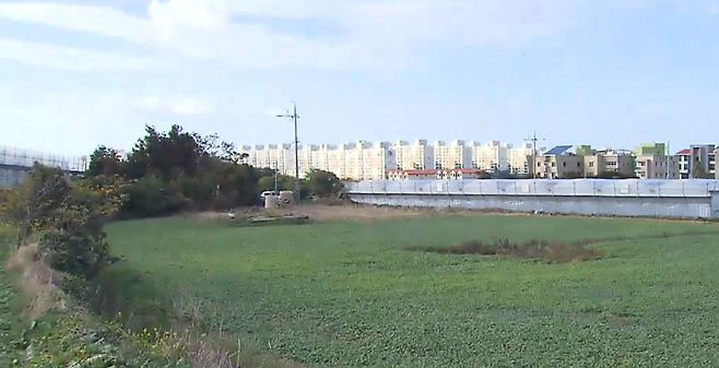 제주 서부중학교 예정 부지