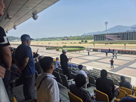 지난 27일 오후 2시20분쯤 부산 강서구 부산경남경마공원 경마장에서 관객이 4경주를 관람하고 있다. 이 경주에서 마권 19억원어치가 판매됐다. 김민주 기자