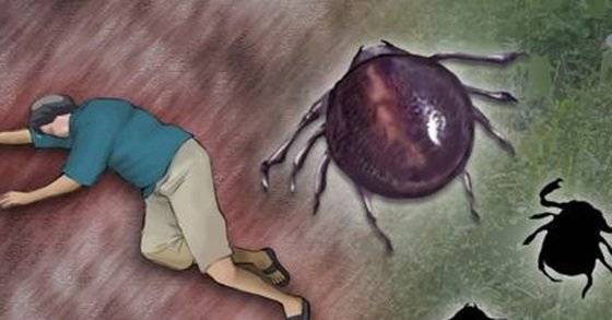 An illustration of a tick and a fallen person [JOONGANG ILBO]