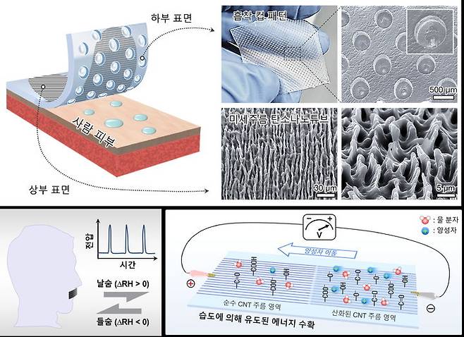 피부 부착형 습도 에너지 하베스팅 패치 개요도. (사진=한양대 제공) *재판매 및 DB 금지