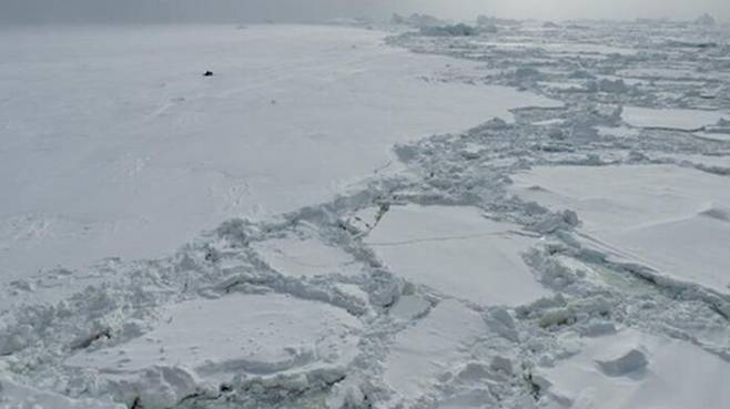 남극해 해빙(sea ice)