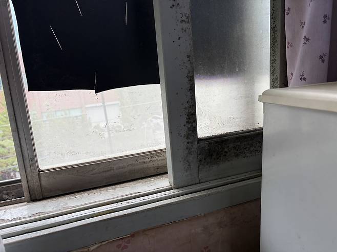 대전 쪽방촌 한 여관에 사는 이모(65) 씨 방 창문에 곰팡이가 피어 있다. 사진=김세영 기자