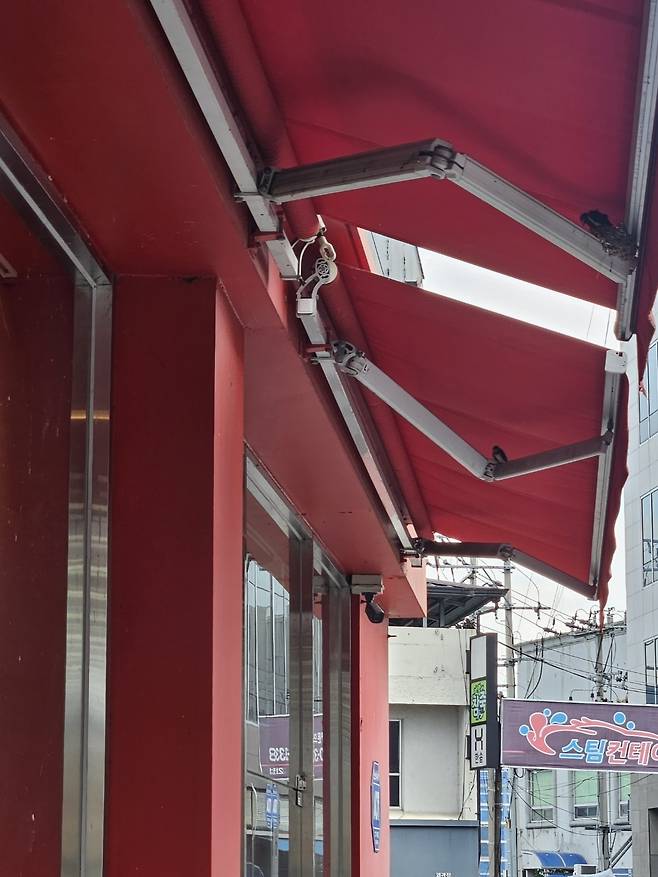 남쪽방향에 또 다른 둥지를 튼 제비가족./ 박호평 기자