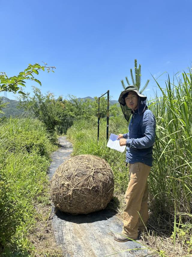 부산 기장군 정관읍 두명마을 밖_앝에서 열리고 있는 기획전 '공생물성' 전시 모습. 사진은 오미자 그룹의 '共 굴리기'와 송성진 작가. 김은영 기자