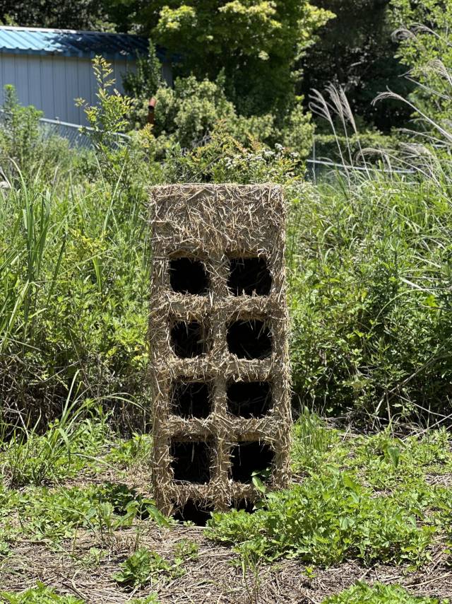 조정현 작가의 '새:아파트'. 김은영 기자