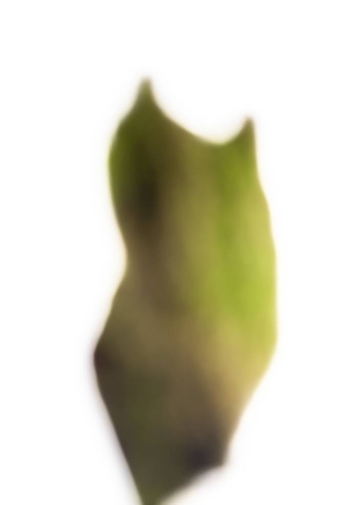 숯과 이끼,&nbsp; &nbsp;2025,&nbsp; &nbsp;한지에 아카이벌 피그먼트 프린트,&nbsp; &nbsp;145x109cm / 사진=제주갤러리