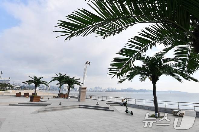 포항 송도해수욕장 평화의 여신상 광장에 인공 야자수 나무가 늘어서 있다. 송도해수욕장은 2007년 태풍으로 백사장 유실이 되면서 폐장됐다 오는 7월12일 재개장한다. 2025.6.26/뉴스1 ⓒ News1 최창호 기자
