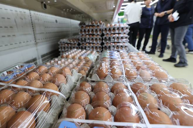 서울의 한 대형마트에 진열된 달걀의 모습. /연합뉴스