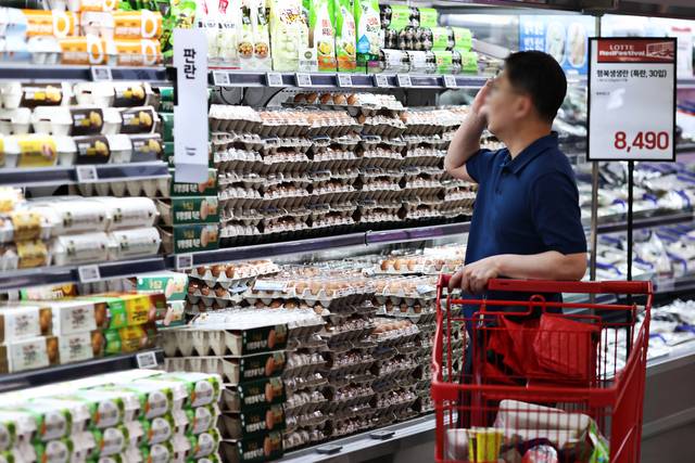 대형마트들, 계란값 안 올린다…“이윤 줄이고 가격인상 막아” [연합뉴스]