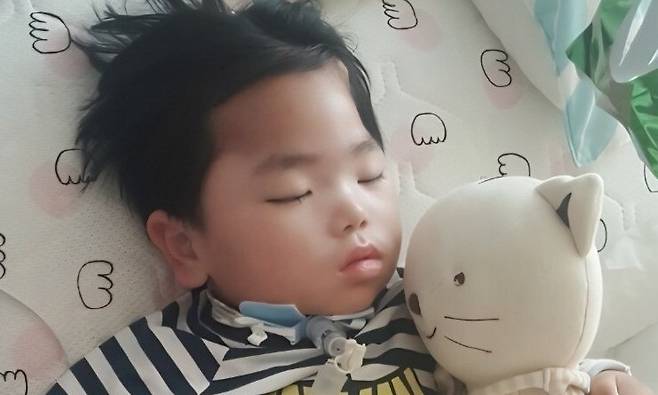 뇌사 장기기증으로 3명에게 새 생명을 선물한 고 김연우(11)군. 한국장기조직기증원 제공