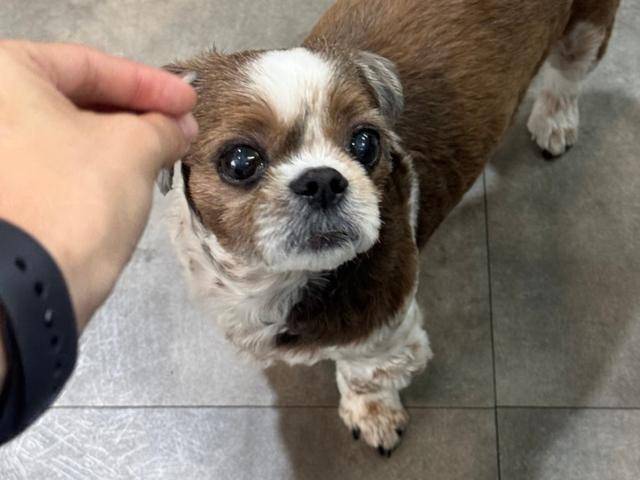 동그람이 김건희 에디터 제공동그람이 김건희 에디터 제공