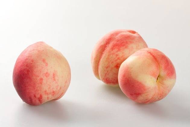 사진=게티이미지뱅크