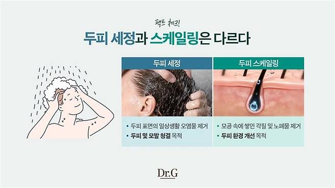 두피 세정과 스케일링은 다르다