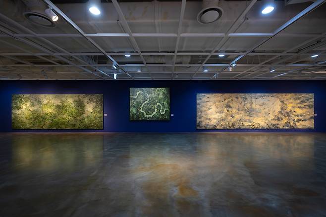 2024년 제2회 호반미술상 수상작가인 강요배 작가의 전시전경  <호반문화재단>