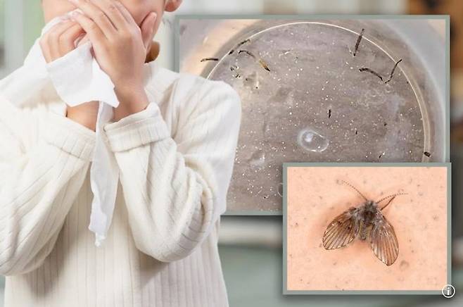 [서울=뉴시스] 중국에서 체내에 있던 유충으로 인해 구토를 할 때마다 벌레를 토해낸 여아의 사연이 전해졌다. (사진=SCMP 캡처) 2025.07.01 *재판매 및 DB 금지