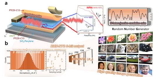 사진은 (a)제안 소자의 소자 구조도 및 계면 노이즈 중첩 현상 응용을 통한 진성 난수 발생기 생성과 관련한 개략도, (b)3비트 디지털 진성 난수 출력 변환 과정과 이를 활용한 꽃, 고양이, 자동차, 사람의 실제 AI 이미지 생성 기술 구현 결과 이미지. (사진=한양대 제공) *재판매 및 DB 금지