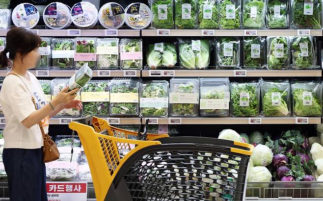서울 시내 한 대형마트에서 한 시민이 채소 가격을 살펴보고 있다. 최근 마늘·호박 등 일부 채소류를 비롯해 가공식품, 수산물 가격이 동반 상승하며 장바구니 물가가 다시 들썩이고 있다. 뉴스1