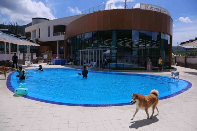 반려동물지원센터는 반려인과 비반려인 모두가 즐길 수 있는 공간이다.