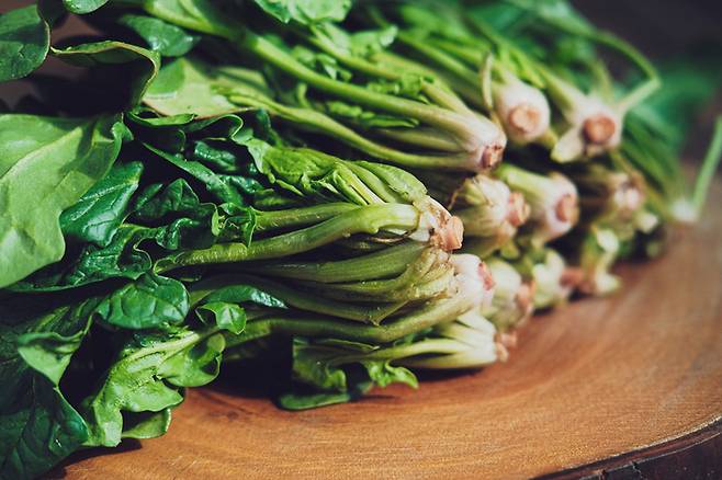 시금치는 풍부한 식물성 단백질과 아르기닌을 함유해 근손실을 줄이고 근육량 유지에 기여한다. [사진= 게티이미지뱅크]