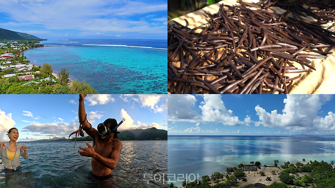 라이아테아(Raiatea) 스틸컷/ 사진-타히티 관광청