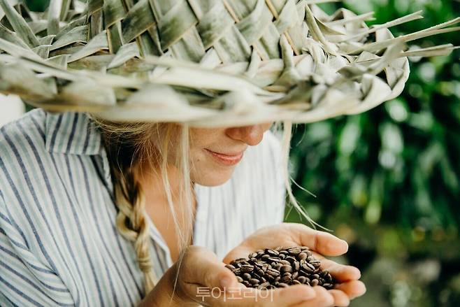 커피투어/사진-하와이관광청