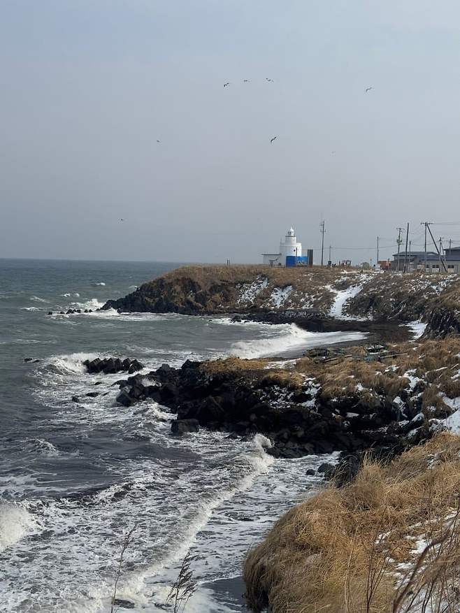 0c99f402b78b1c82239cf291339c706cc8cd3bdd5ef68cd3da7fce511e5958ebed7f7736fa1d6ba628485b33e7d7f1c6c8590a1edc