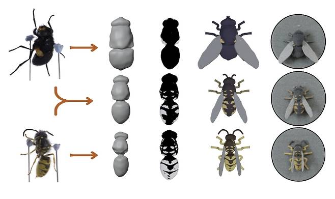 실험에서 사용된 3차원(3D) 프린팅 기술로 만들어낸 정교한 곤충 모형. Credit: Christopher Taylor