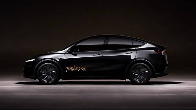 로보택시 / 테슬라